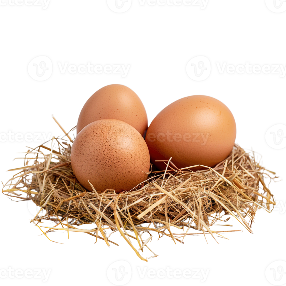 three chicken eggs on a pile of hay png