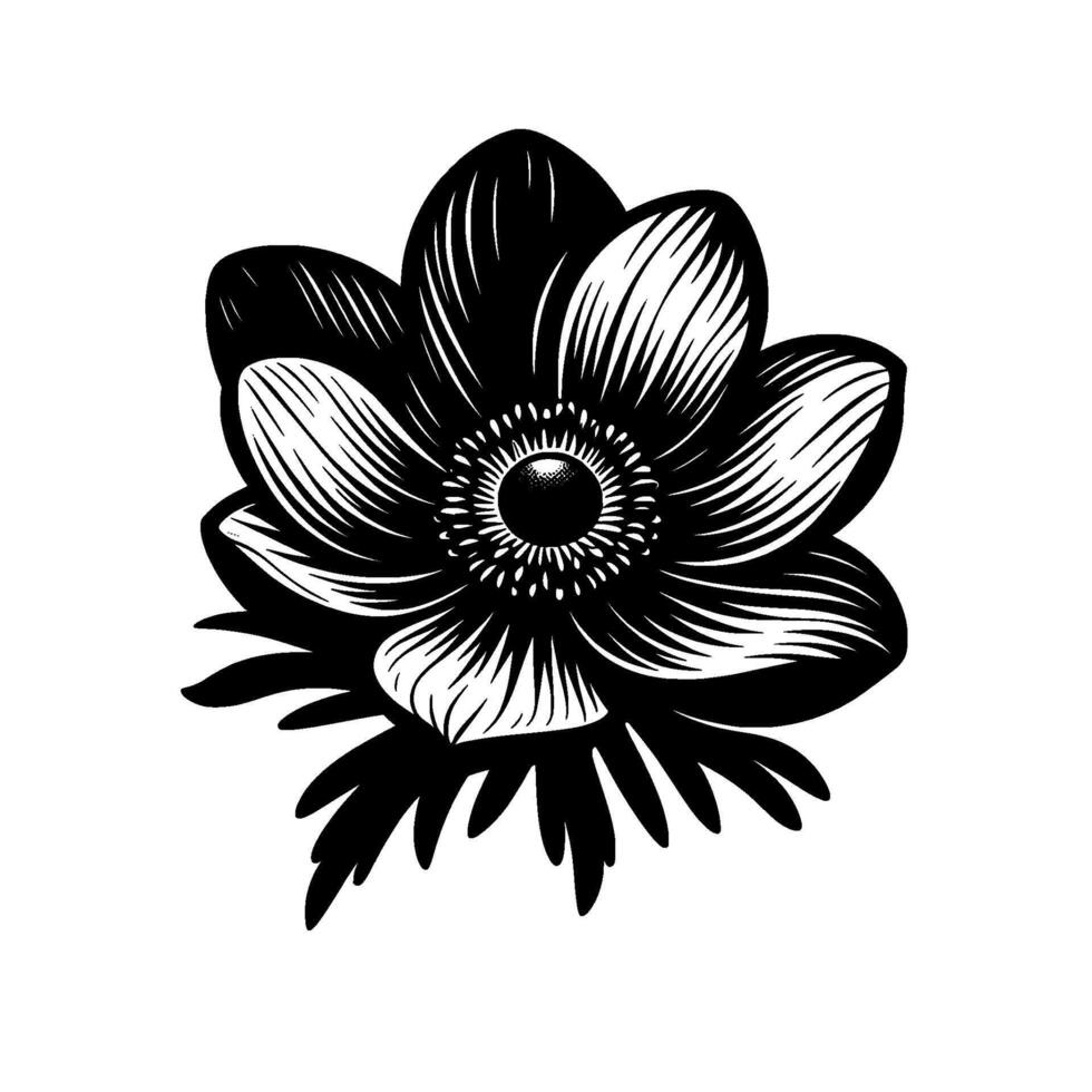 Intricate Black and White Floral Illustration Depicting an Anemone with Detailed Petals and Artistic Linework vector