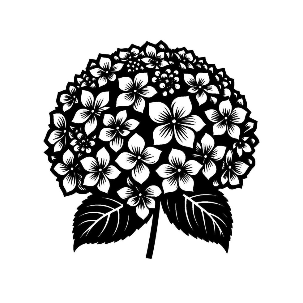 Elegant black and white hydrangea floral illustration, featuring intricate petal details and lush leaves on a white backdrop. vector