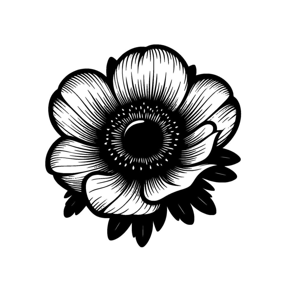 Striking Black and White Floral Illustration A Detailed Line Art Depiction of an Anemone Flower with Elegant Petals. vector