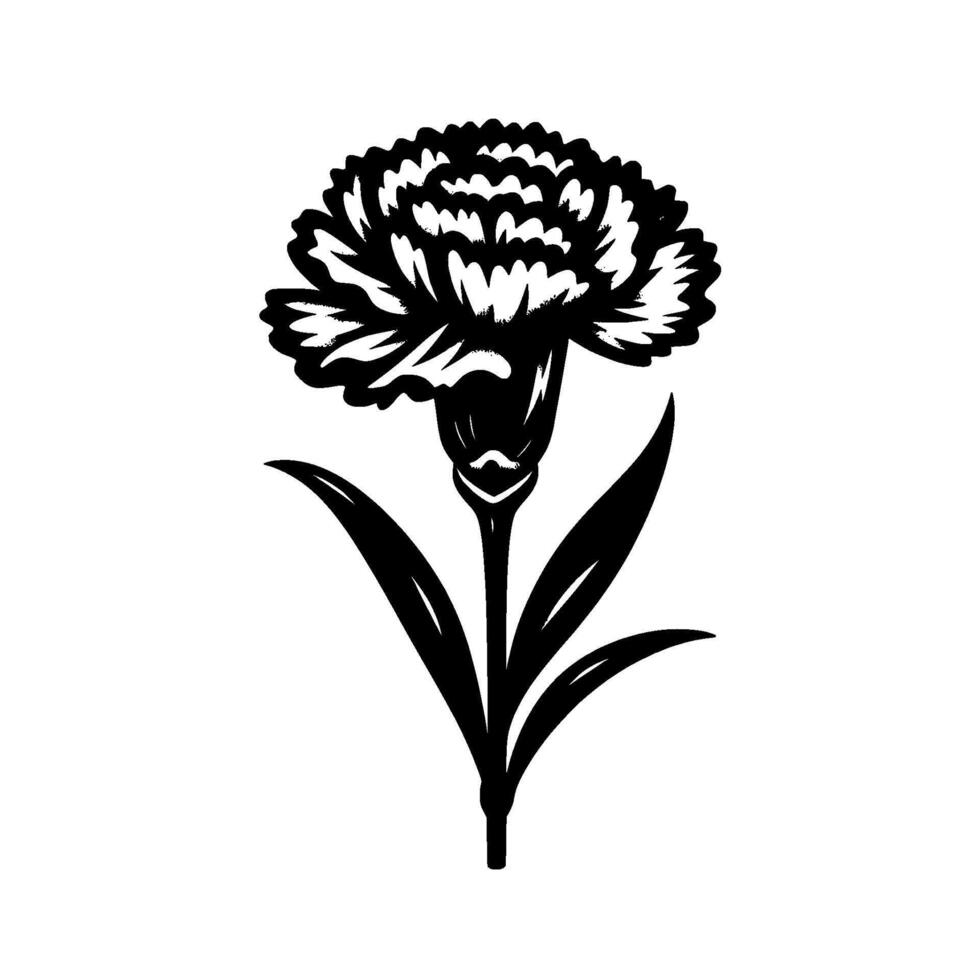 Illustration of a Carnation in Black and White, with Intricate Petal Detailing and Simple Stem and Leaf Structure, Against a Clean White Background. vector