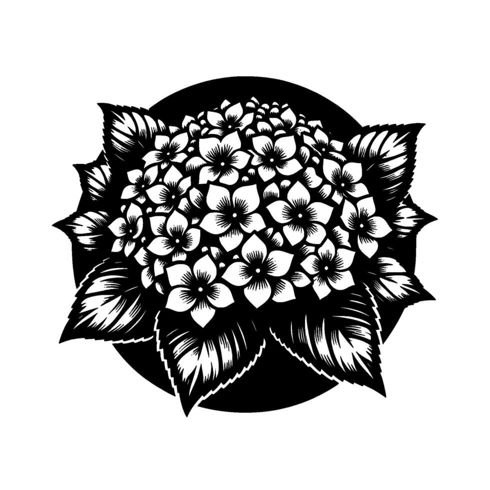 Bold Black and White Hydrangea Floral A Illustration of Petals, Leaves, and a Dark Circular Background. vector