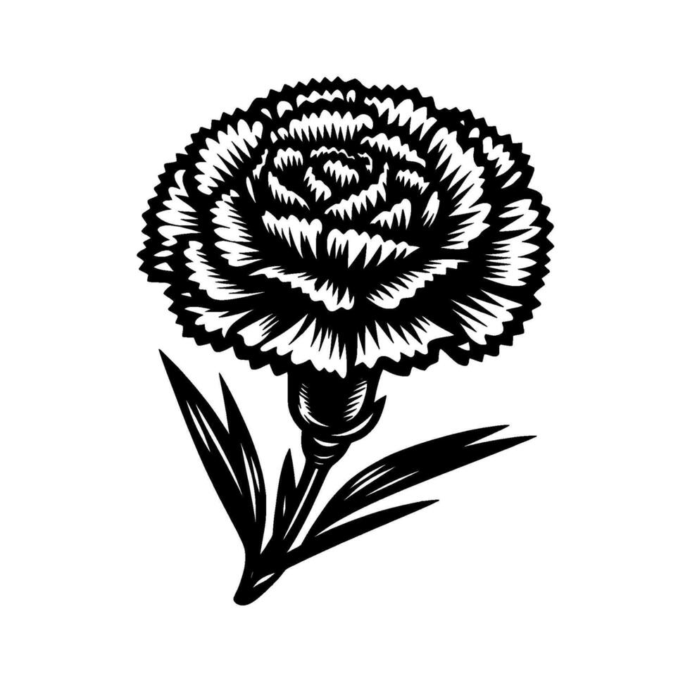 Intricate Black and White Carnation Illustration Detailed Petal with Textured Aesthetic on a Clean White Background. vector