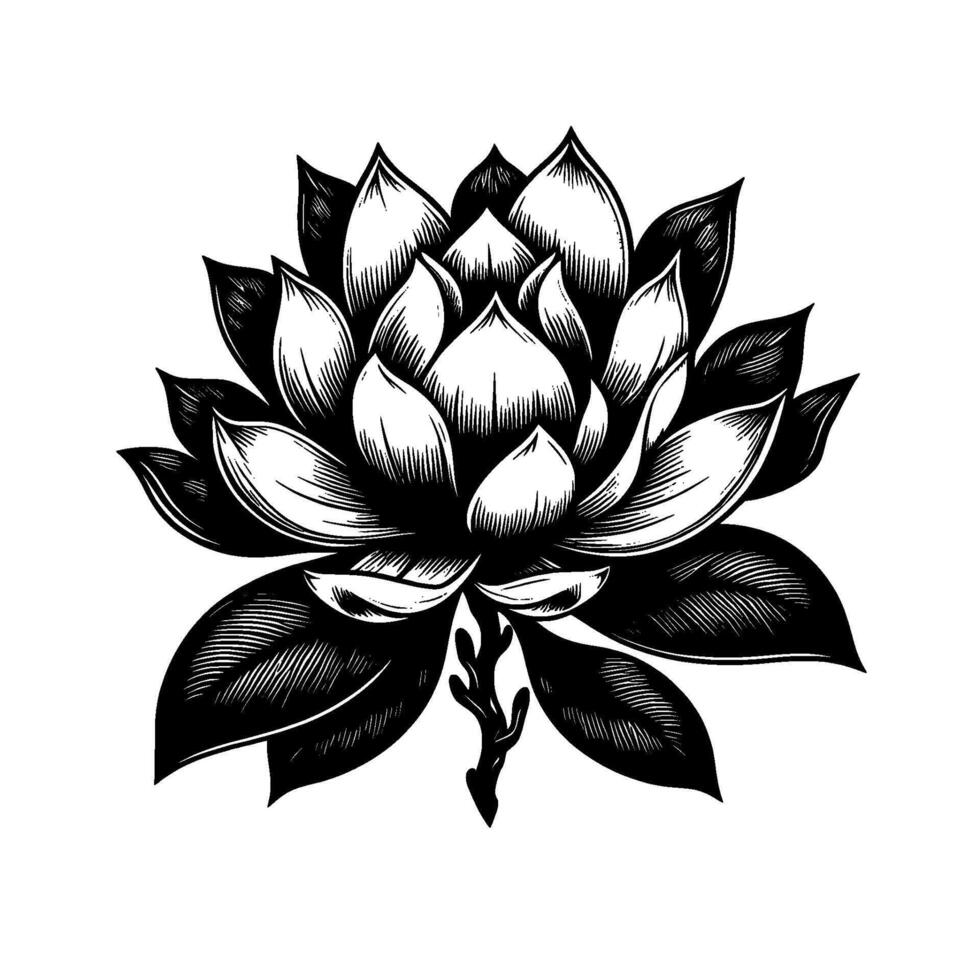 Intricate Black and White Botanical Illustration of a Majestic Lotus Flower, Detailed Linework, Elegant Composition, Symbolic Art. vector