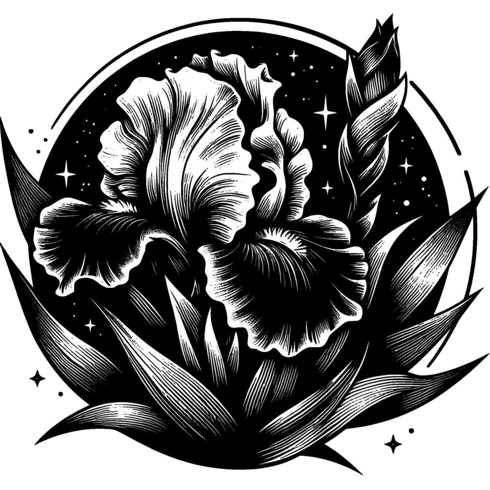 Detailed Black and White Engraving of an Iris Flower with Bud and Leaves, Surrounded by a Starry Circle and Decorative Elements. vector