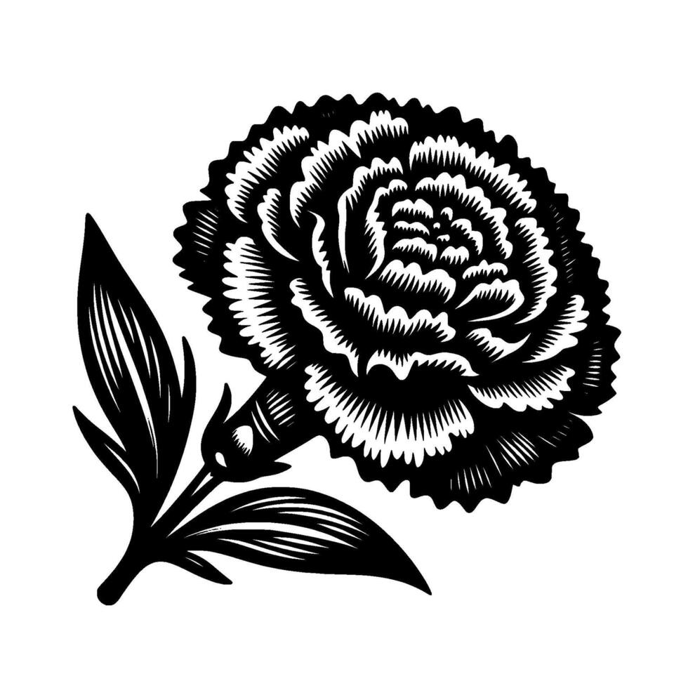 Intricate Black and White Carnation Illustration Detailed Petals, Leaves and Stem, Minimalist Floral . vector