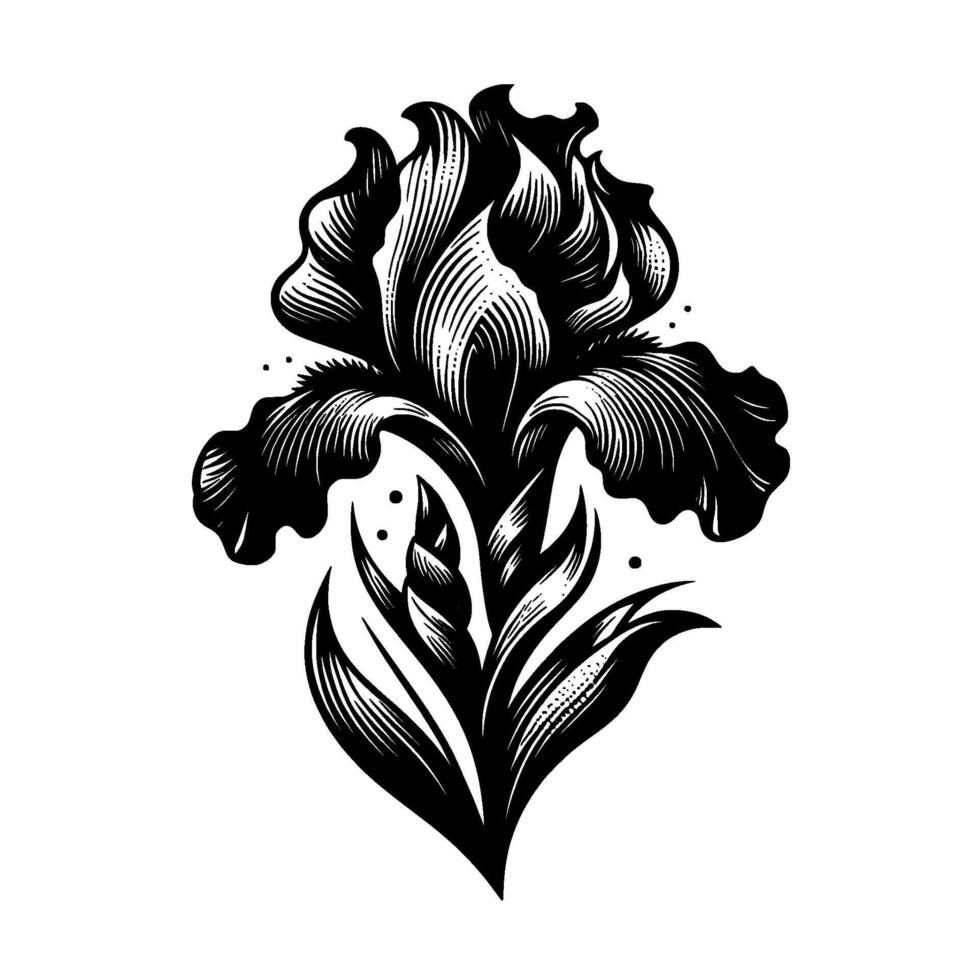 Elegant Black and White Engraving of an Iris Flower in Full Bloom, Detailed Lines and Floral . vector