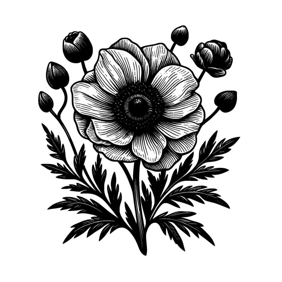 Detailed Black and White Floral Illustration A Central Open Bloom Surrounded by Buds and Leaves, Emphasizing Contrast and Fine Linework vector