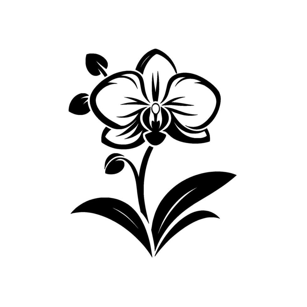 Elegant Black White Illustration of an Orchid Flower with Buds and Leaves, Isolated on a White Background. vector