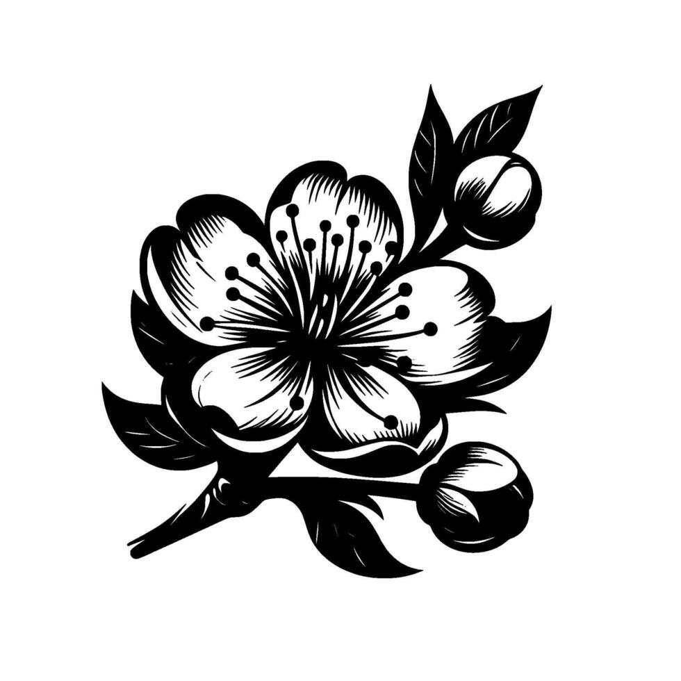 Intricate Black and White Cherry Blossom Branch Illustration Featuring Open Flower, Buds, and Leafy Details on White Background. vector