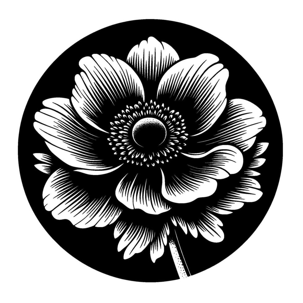 Exquisite Black and White Anemone Flower in a Circular Frame, Detailed Linework, Striking Contrast, Botanical Illustration. vector