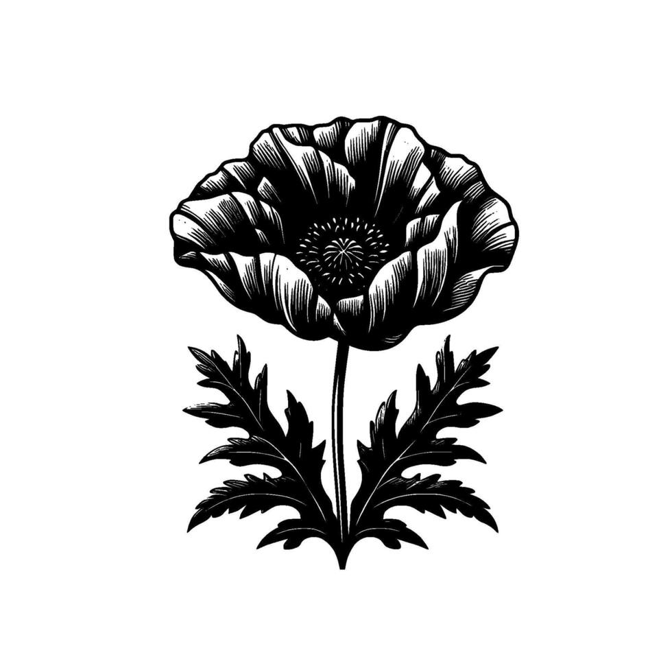 A detailed black and white linework illustration of a poppy flower, with a fully open bloom, stem, and leaves on a stark white background. vector
