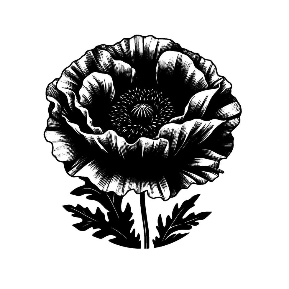 Intricately Detailed Black and White Poppy Illustration, Highlighting Petal Textures and Delicate Leaves on a Clean White Background. vector