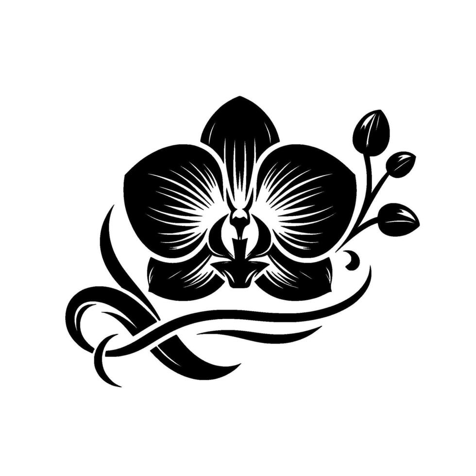 Elegant monochrome orchid illustration featuring symmetrical petals, a flowering stem, and stylized leaf accents against a clean white background. vector