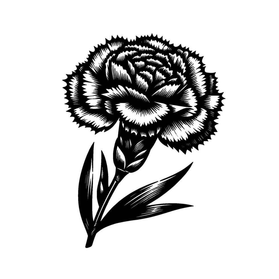 Intricate black and white woodcutstyle illustration of a carnation flower, rendered with meticulous detail. vector