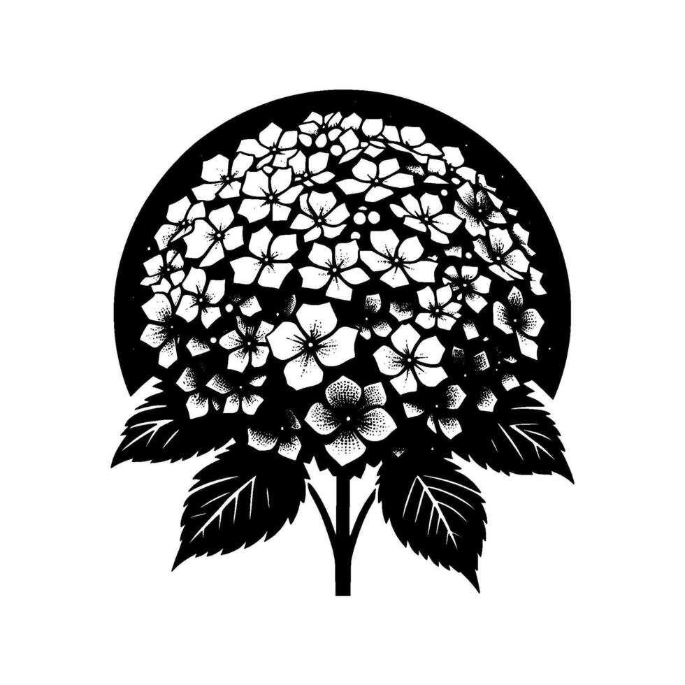 Intricate Black and White Floral Illustration Featuring a Hydrangea Bloom Enclosed in a Circular Silhouette with Detailed Leaves and Stem. vector