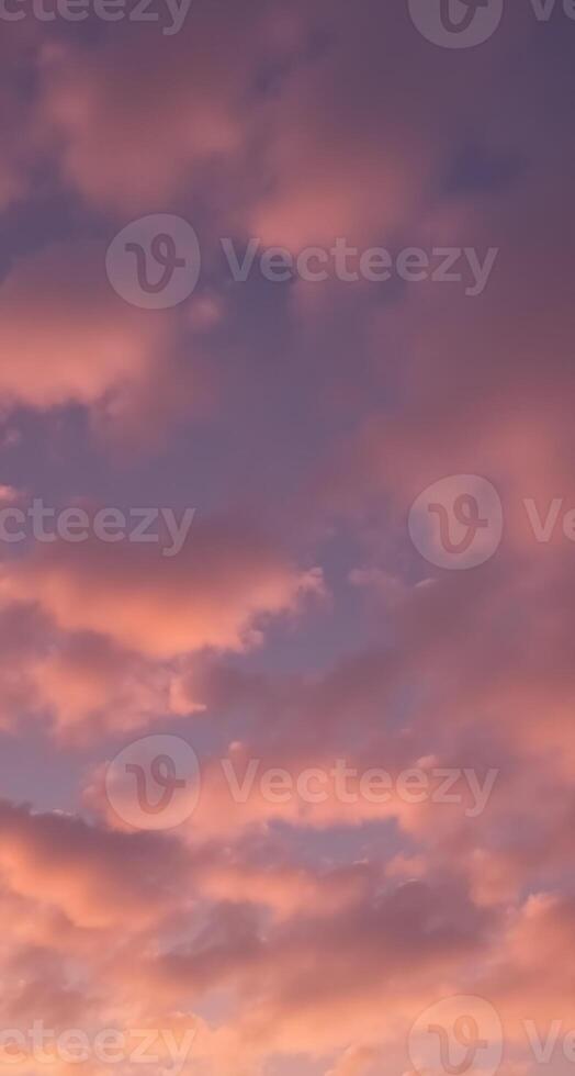 Beautiful Pink Cloudy Sky Evening Display Perfect for Phone Wallpaper photo