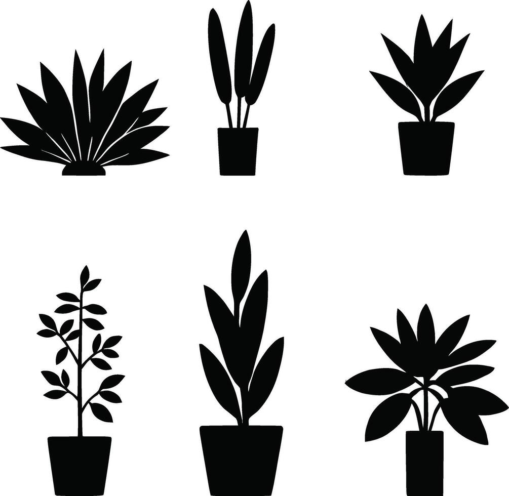 Six Silhouettes of Houseplants in Pots vector
