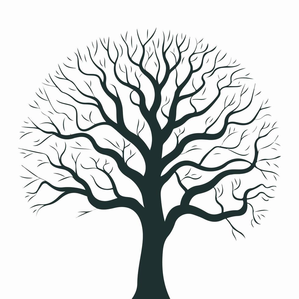 A black and white illustration of a tree with no leaves vector