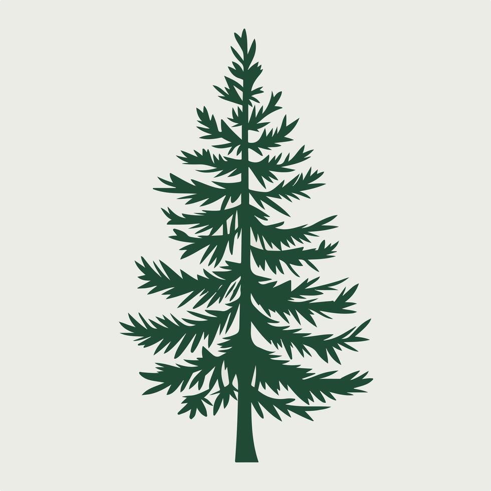 A pine tree is shown in a flat style vector
