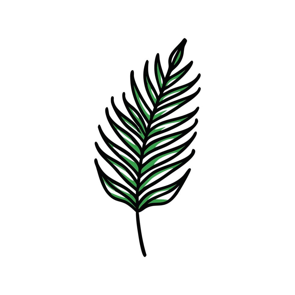 Elegant Fern Leaf for Nature Lovers vector