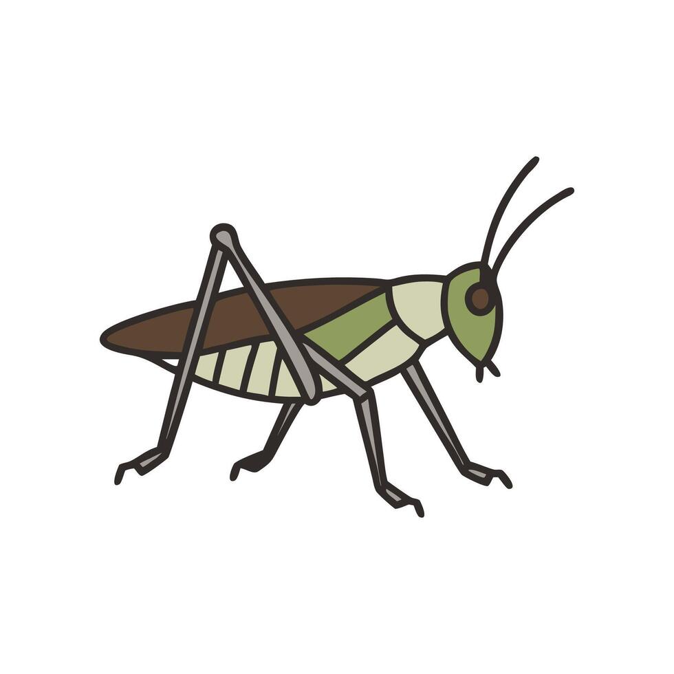 Cute Grasshopper in Natural Habitat vector