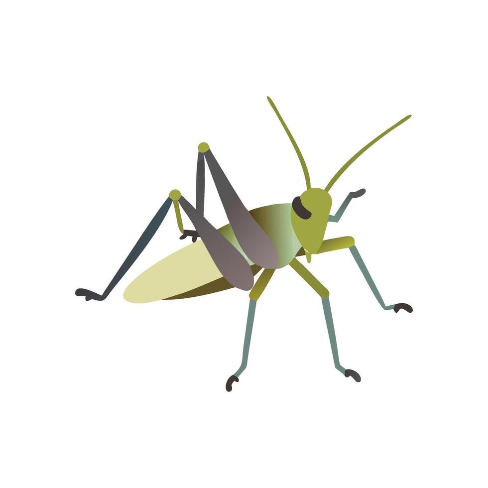Stylish Grasshopper Art vector