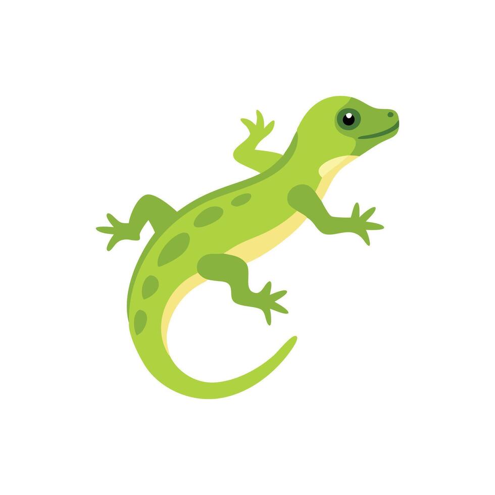 Vibrant Lizard Resting on a Stone vector