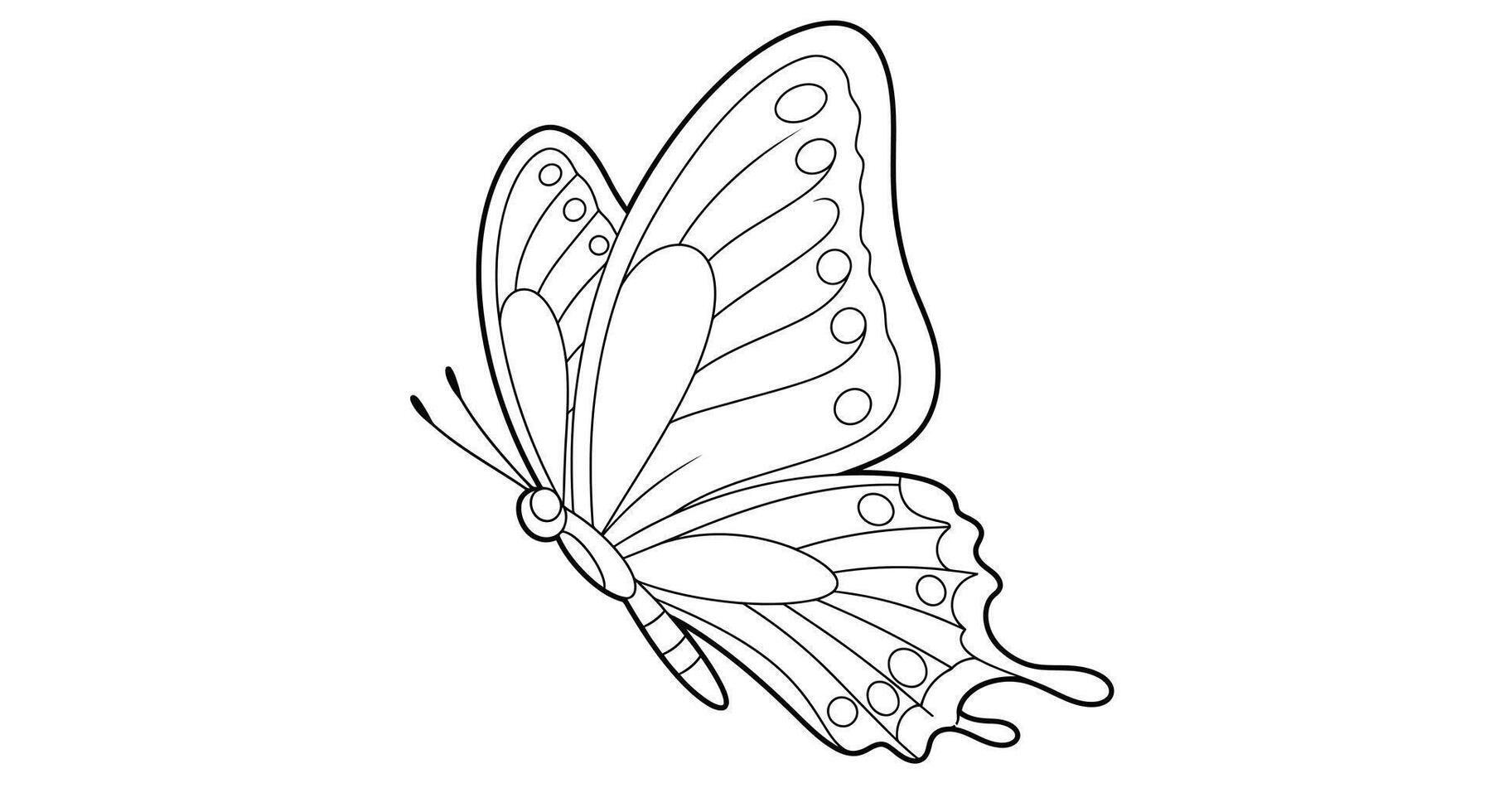 Coloring page of a butterfly with wings covered in distinct spots vector