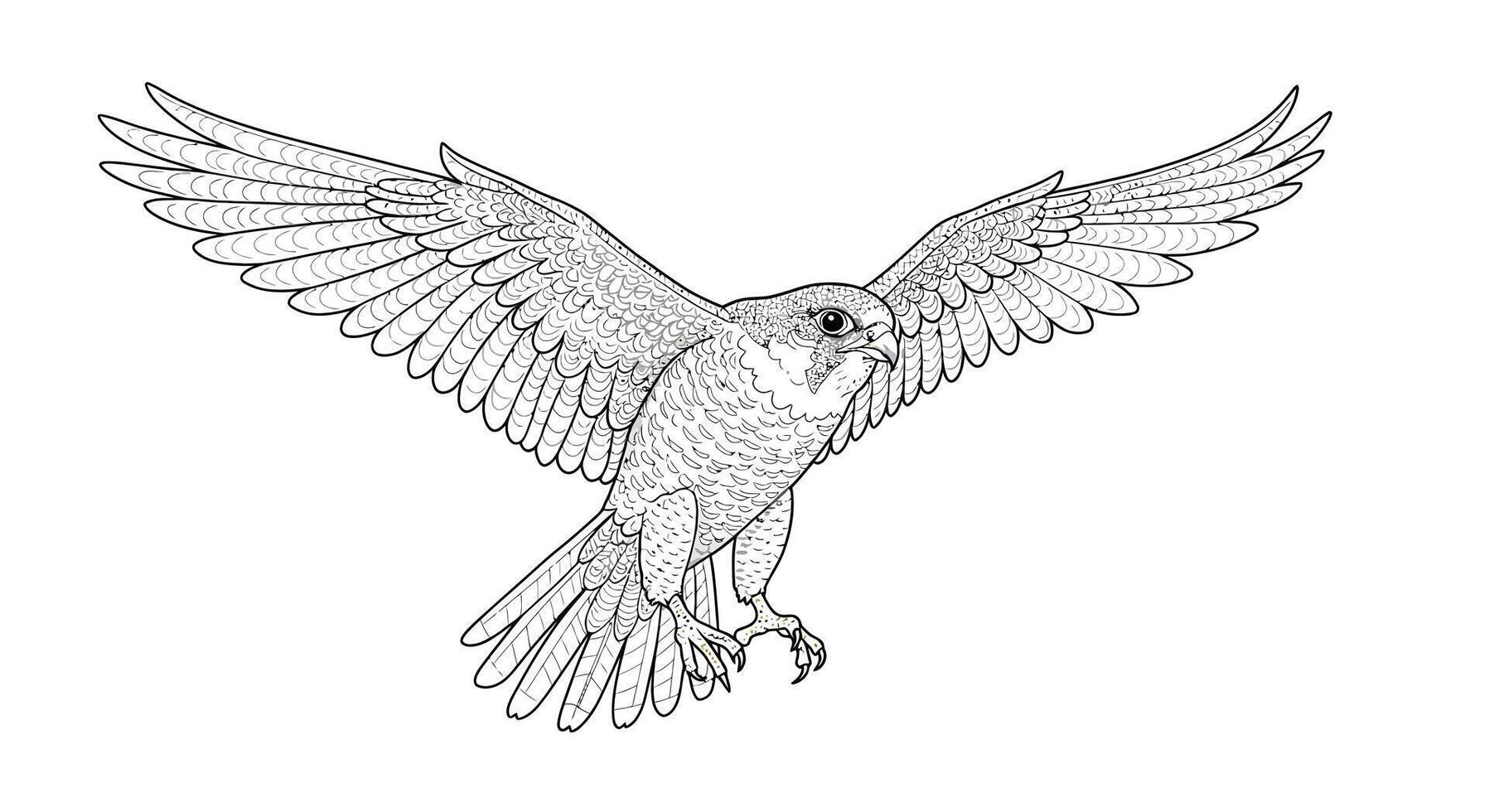 A Peregrine Falcon in Mid-Flight With Its Wings Spread Wide vector