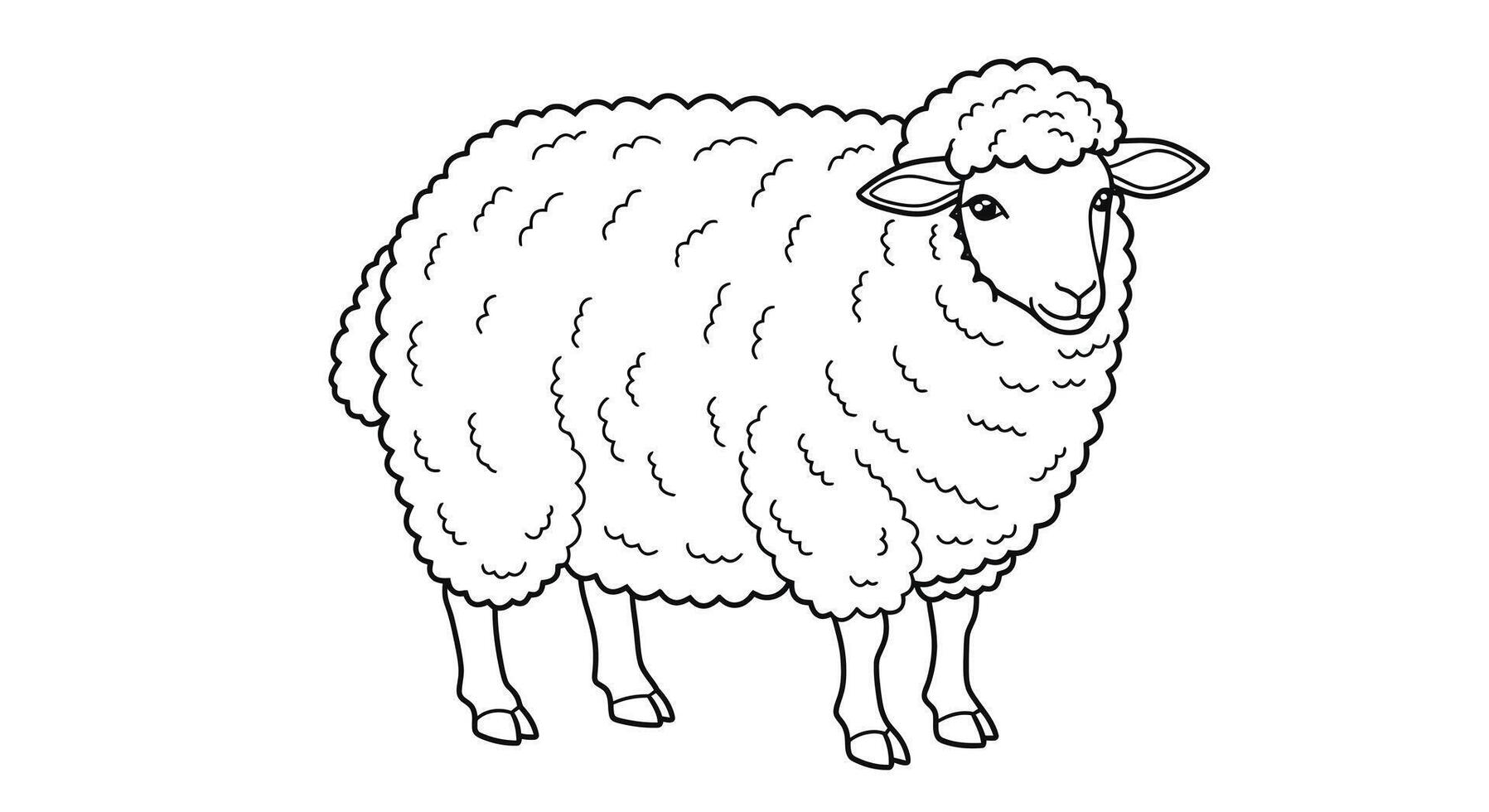 A sheep coloring page with a black and white outline vector
