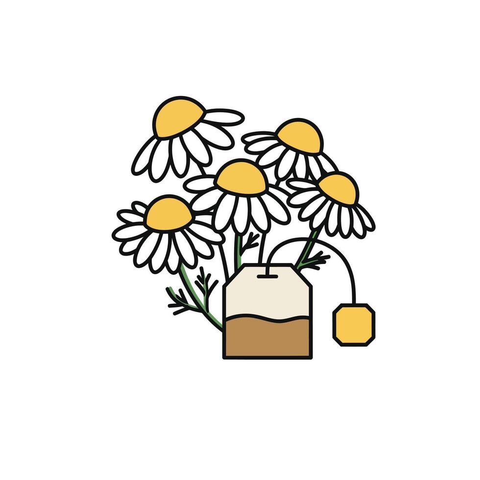 A bouquet of chamomile flowers with a tea bag vector