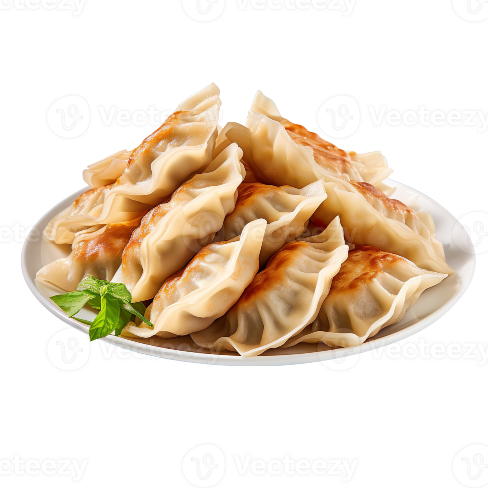 Fried Dumplings isolated on transparent background png