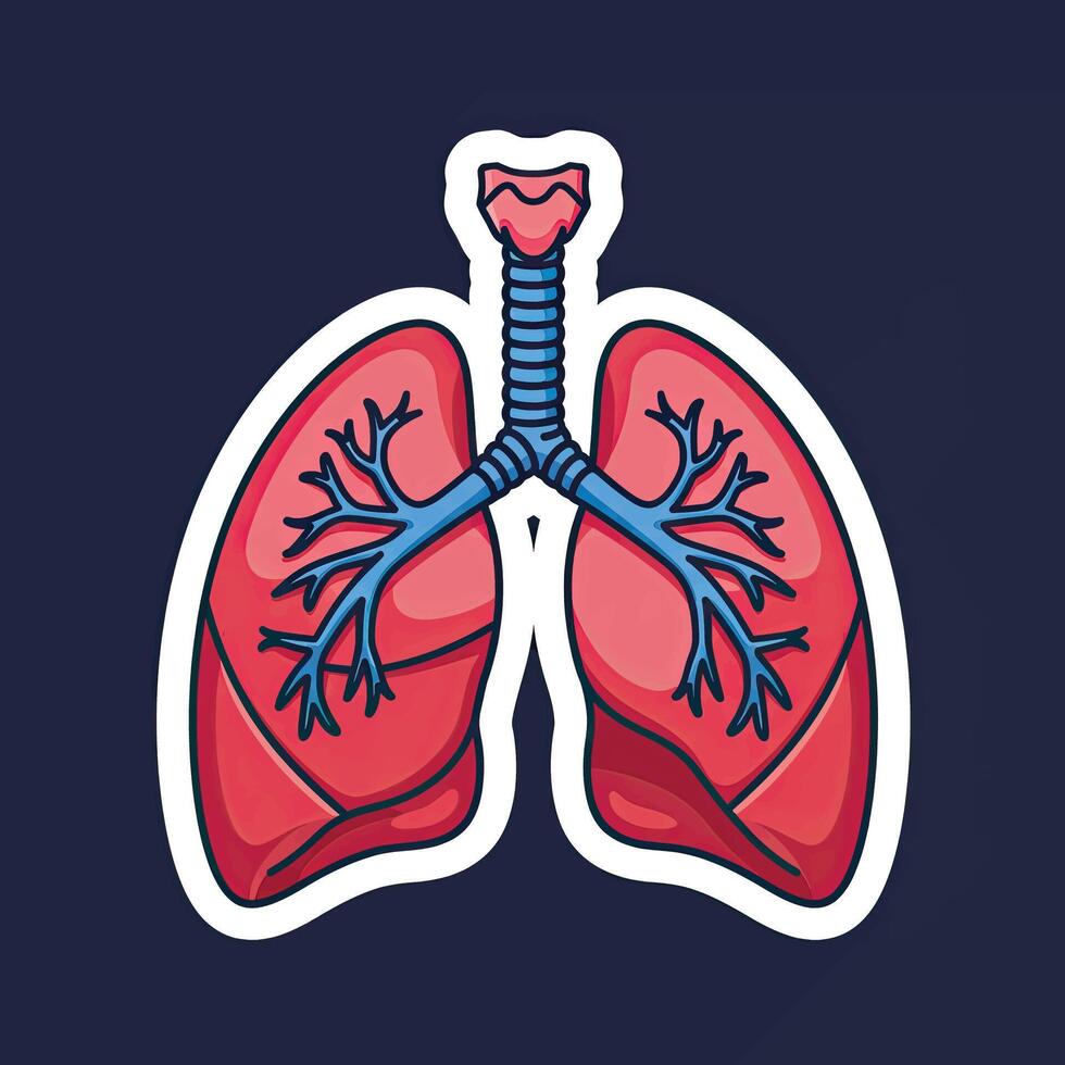 The lungs are shown in a sticker vector