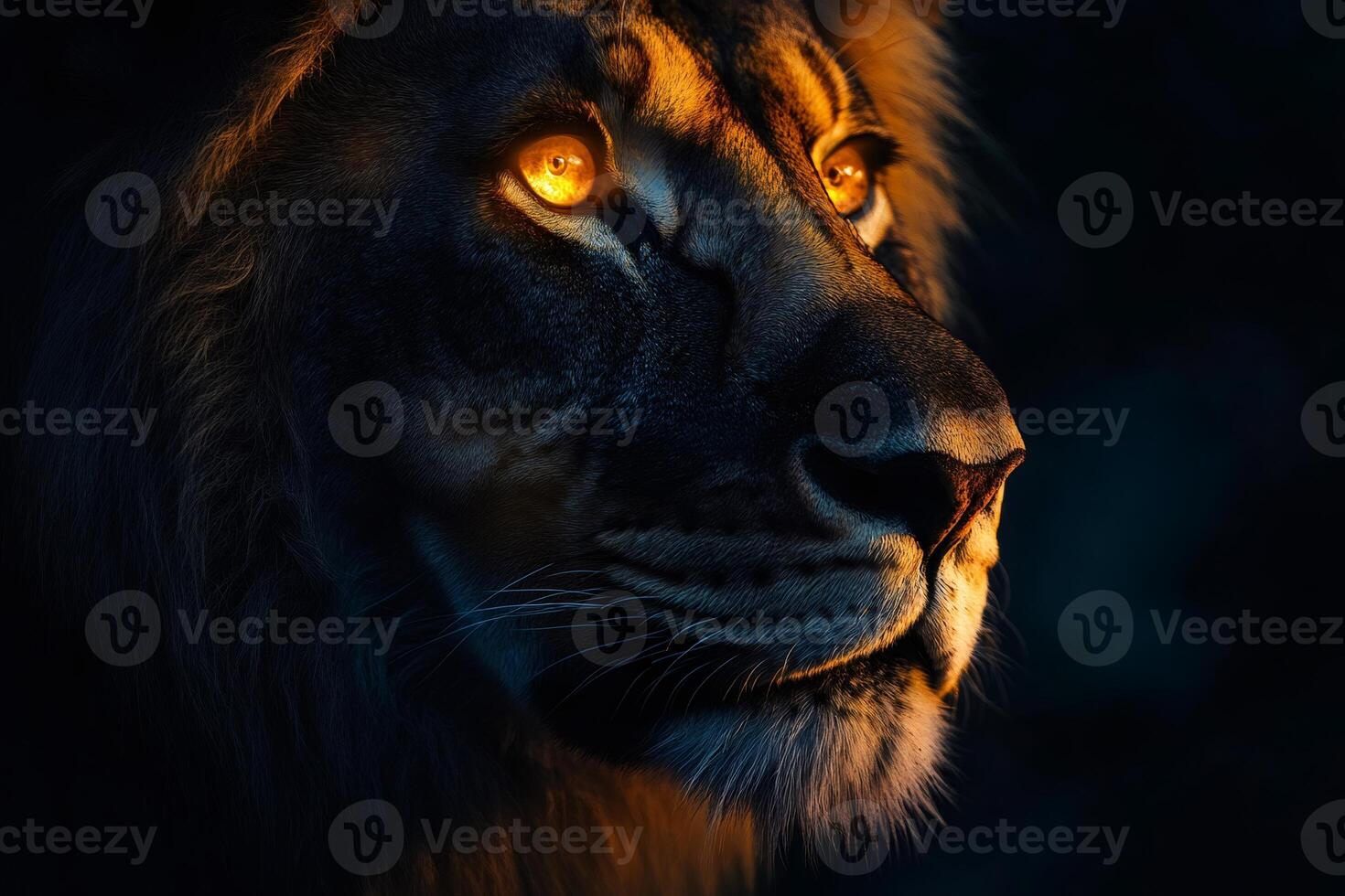 Majestic lion staring intensely with glowing eyes in the dark photo