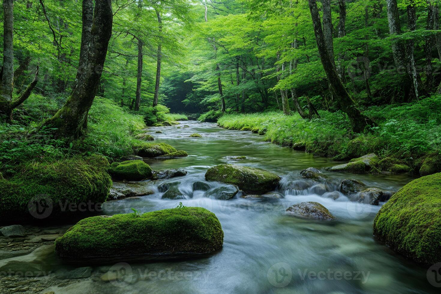 Pristine river flowing through a lush green forest photo