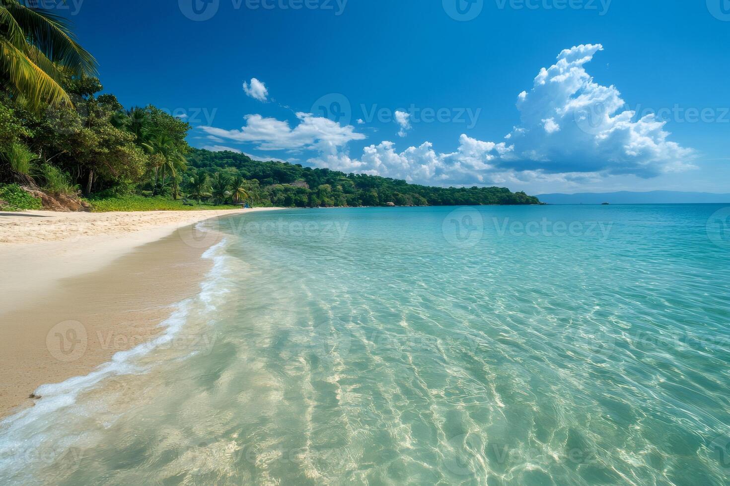 Crystal clear water gently lapping on idyllic tropical beach in the caribbean photo