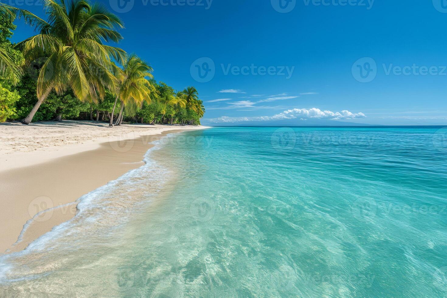 Tropical beach gently lapping waves on white sand with palm trees in the Dominican Republic photo