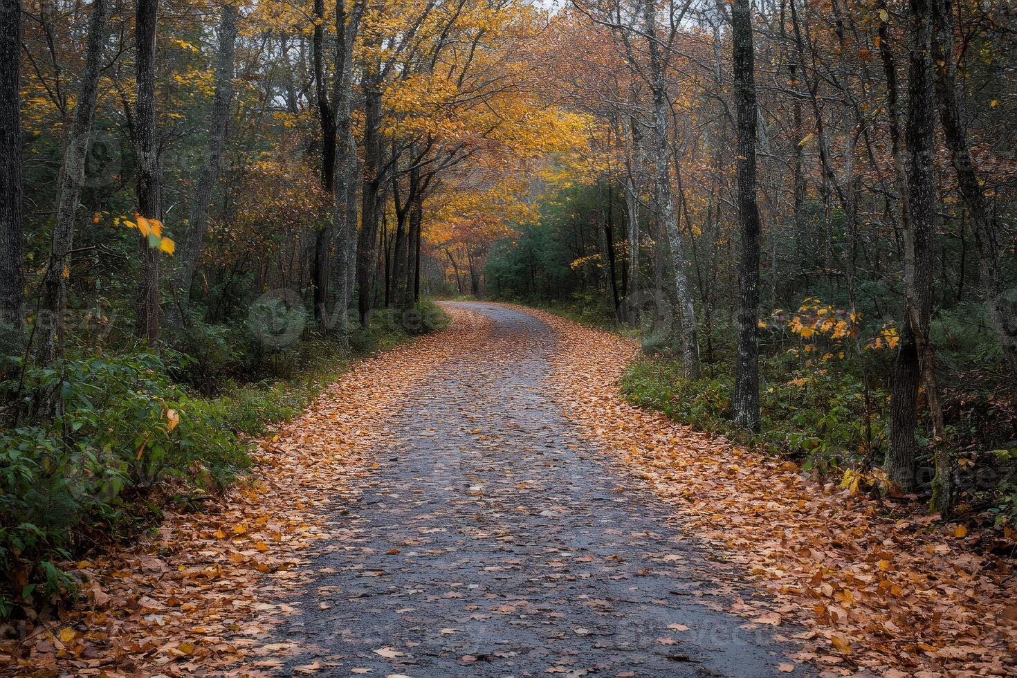 Winding road covered with fallen leaves going through autumn forest photo