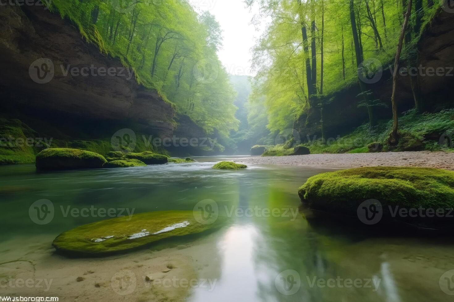 Pristine river flowing through a canyon with mossy rocks and lush green forest photo