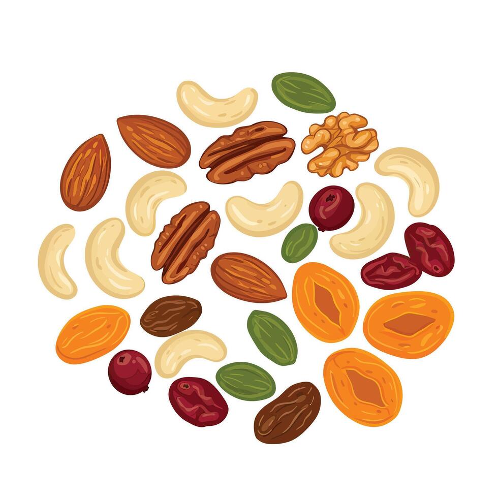 Nuts and dried fruits in a circle vector