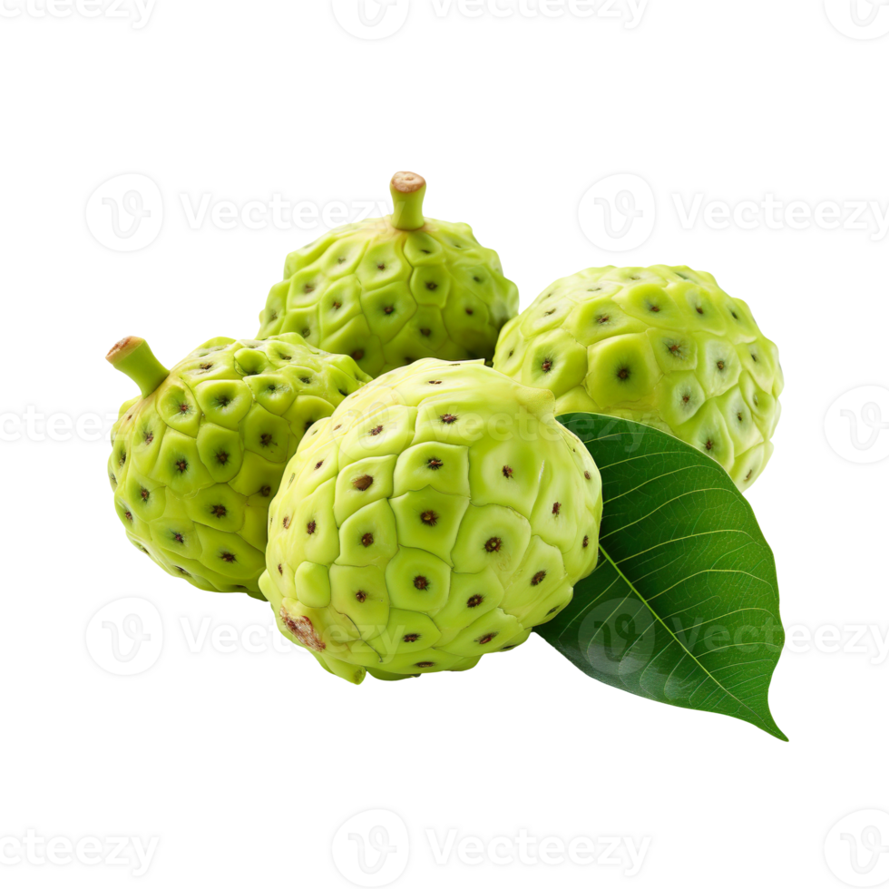 Noni fruit isolated on transparent background png