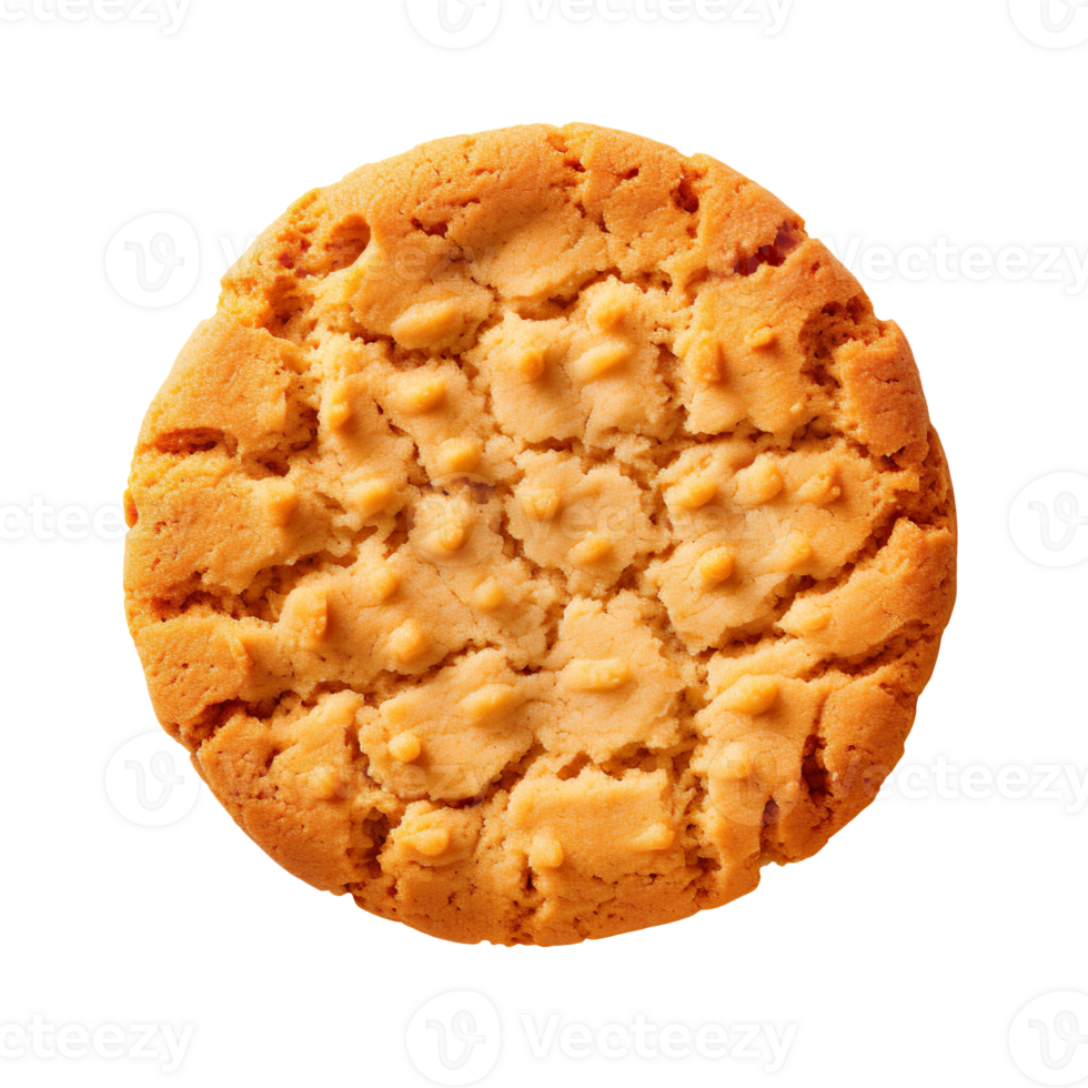 Peanut cookie isolated on transparent background png