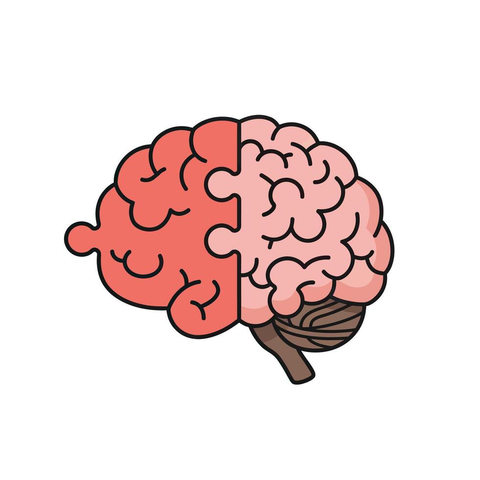 A brain with two halves, one half is red and the other is pink vector
