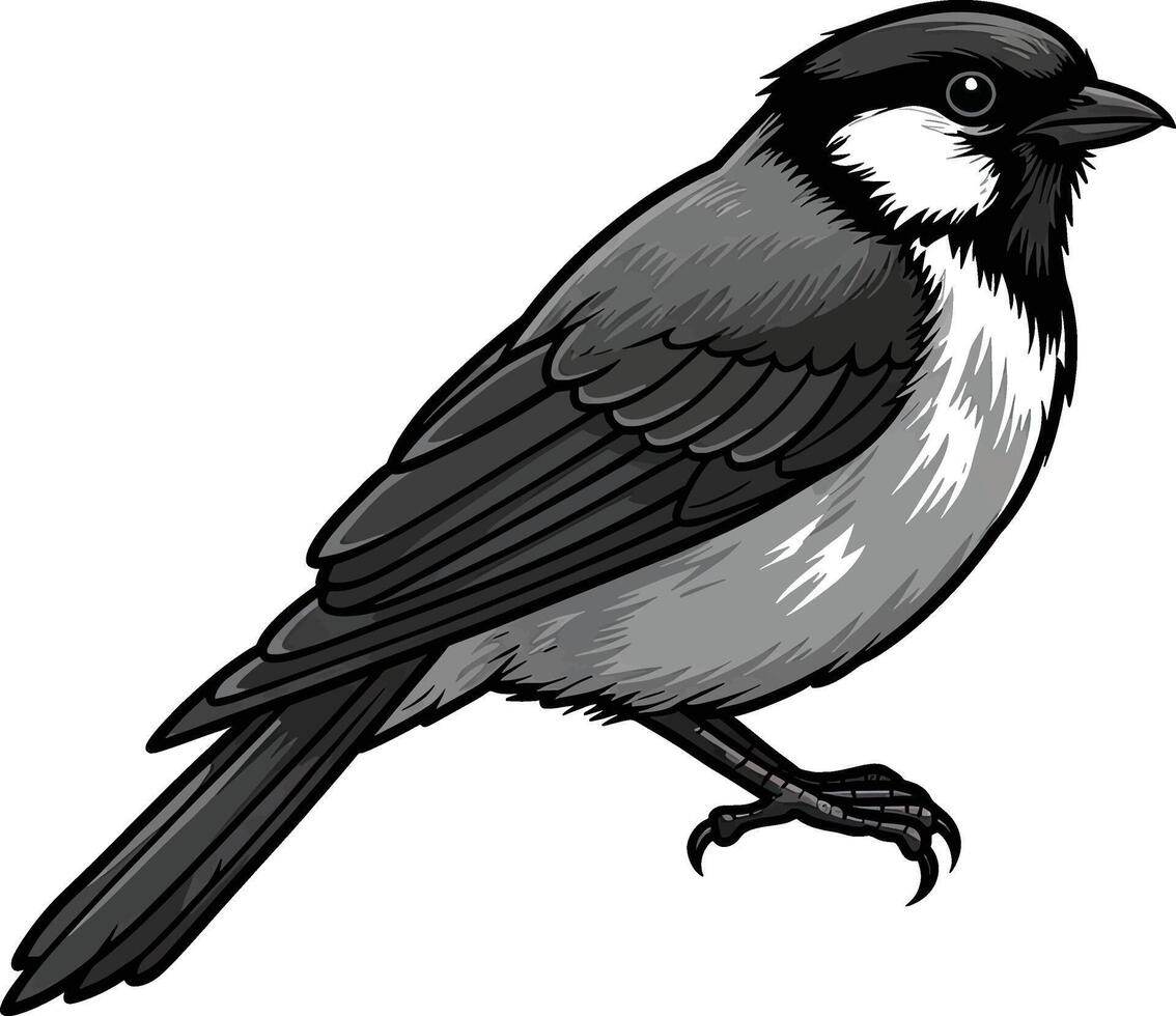 Black and white bird vector