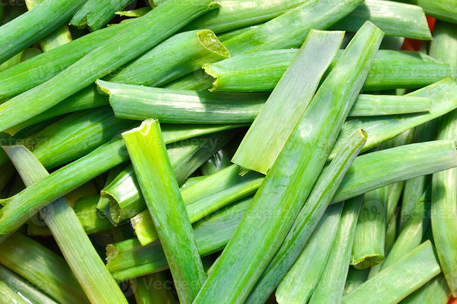 First fresh green onions chopped into pieces in wicker basket photo