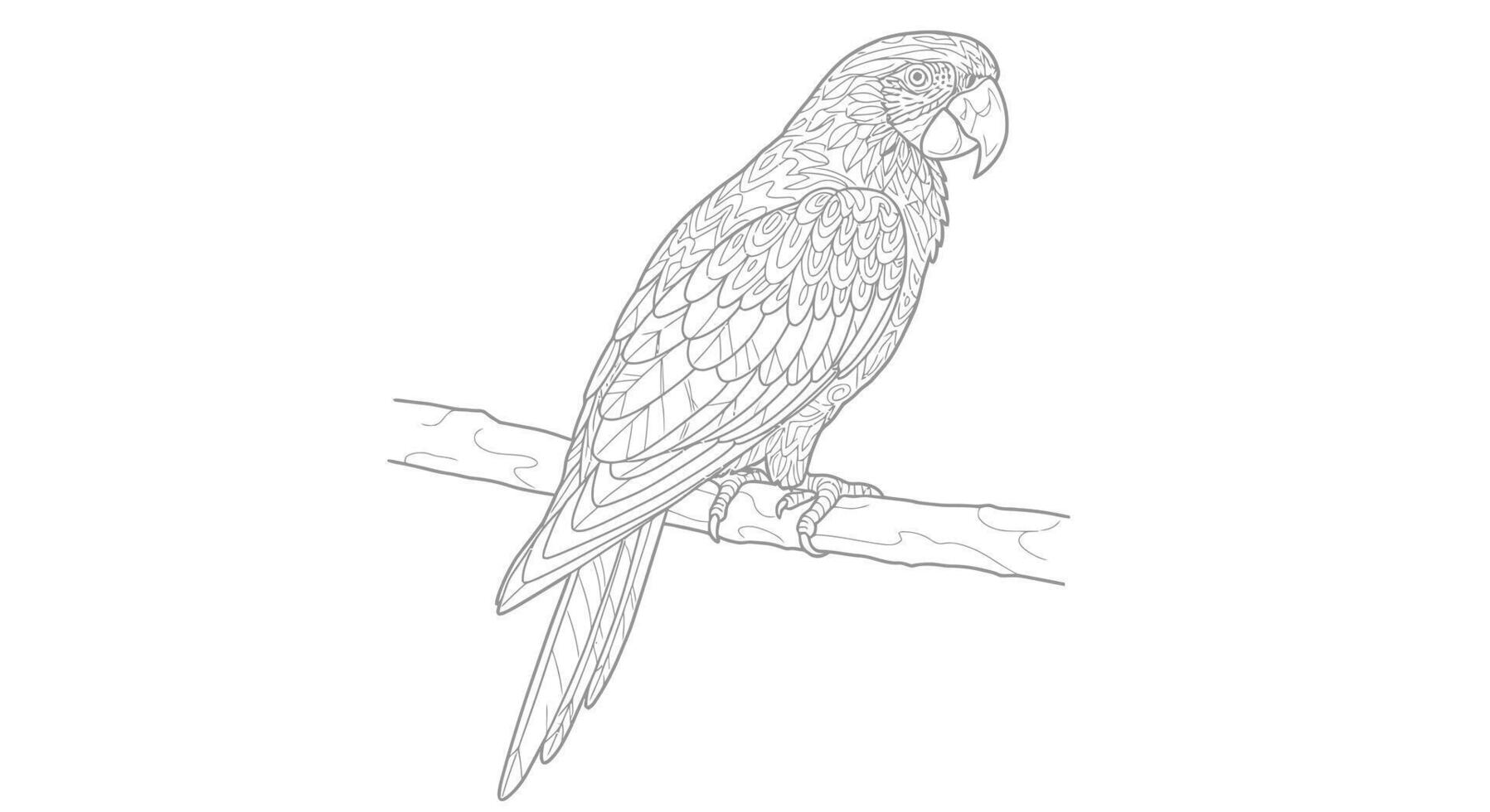 A coloring page of a parrot sitting on a branch vector