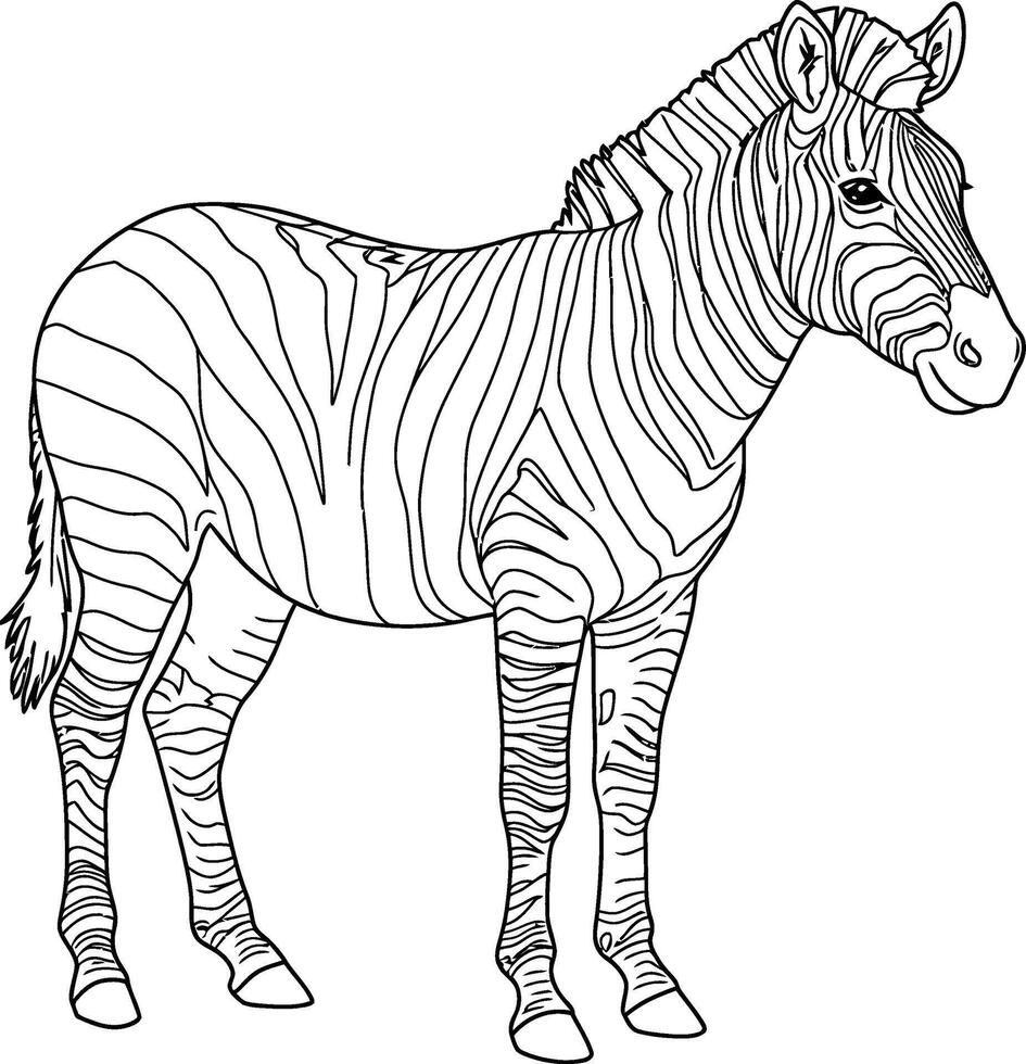 A zebra coloring page for kids vector