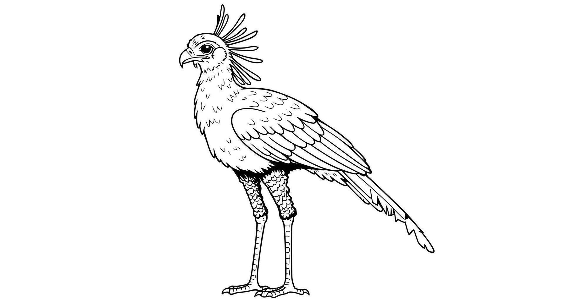 A drawing of a bird with a long tail vector