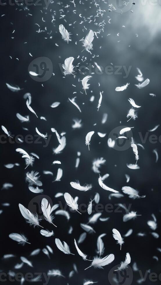 Floating feathers cascade against a dark backdrop, creating a serene and ethereal visual. Motion and lightness define the imagery. photo